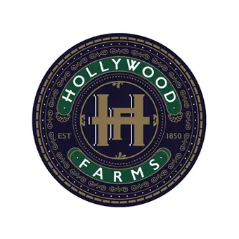 Hollywood logo and branding campaign